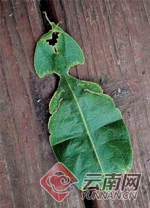 00300457783_e6c84a0c 00300457783_e6c84a0c