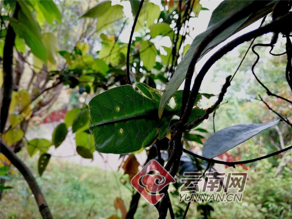 00300457787_f0cd5ba2 00300457787_f0cd5ba2