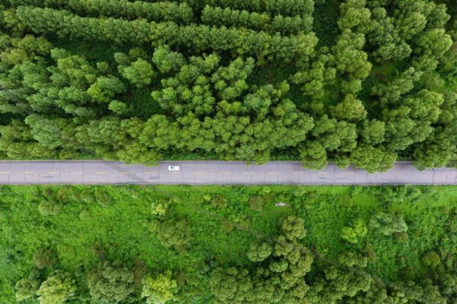 这个奇迹,让全世界叹为观止! 这个奇迹,让全世界叹为观止!