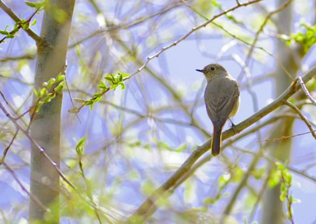 这个奇迹,让全世界叹为观止! 这个奇迹,让全世界叹为观止!