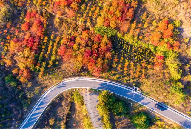 这个奇迹,让全世界叹为观止! 这个奇迹,让全世界叹为观止!