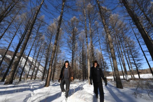 这个奇迹,让全世界叹为观止! 这个奇迹,让全世界叹为观止!