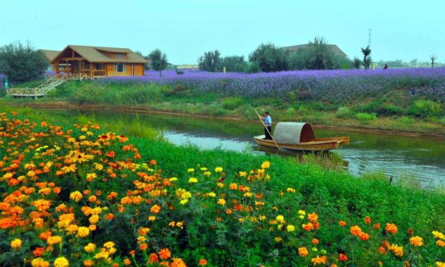 这个奇迹,让全世界叹为观止! 这个奇迹,让全世界叹为观止!