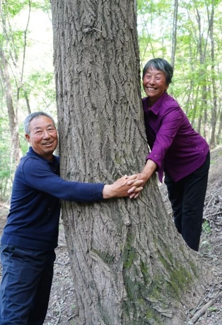 这个奇迹,让全世界叹为观止! 这个奇迹,让全世界叹为观止!