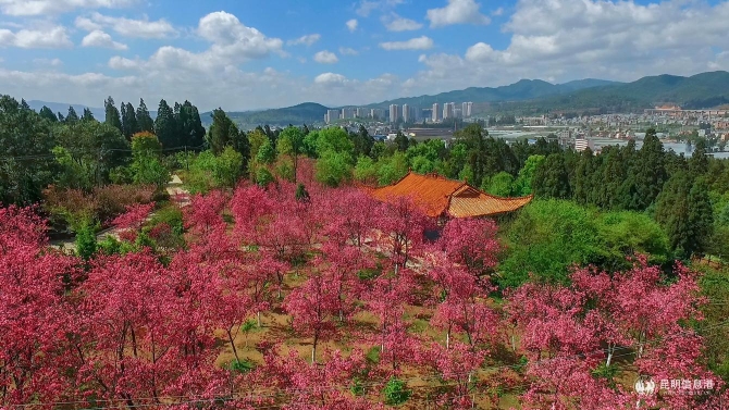 27df1b6211e36f019a7320d72b2c7e1