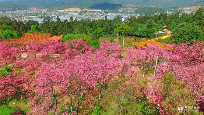 a3448e7eadfb9c4a4827e4bd24275cc