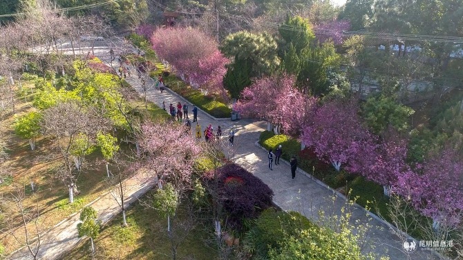 7fc6b785fa4074a06b50c475fa4201b