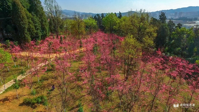 1a74e972e4104380e6c62b4e494620e