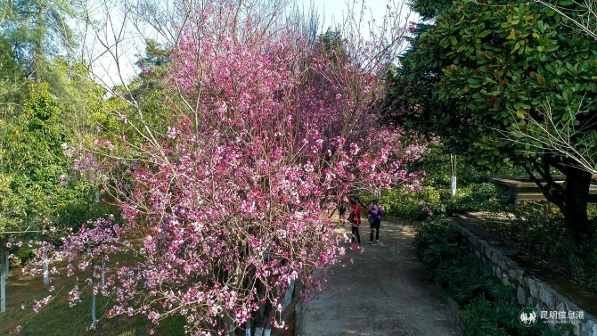 f49e9ab00dba4c75f36e19cf1efa169