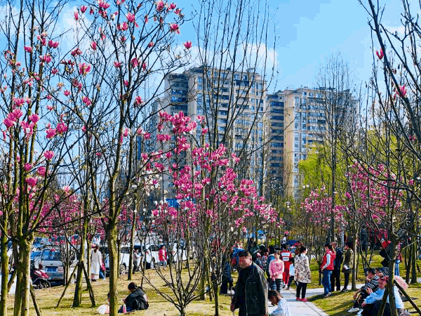 微信图片_20190312141531