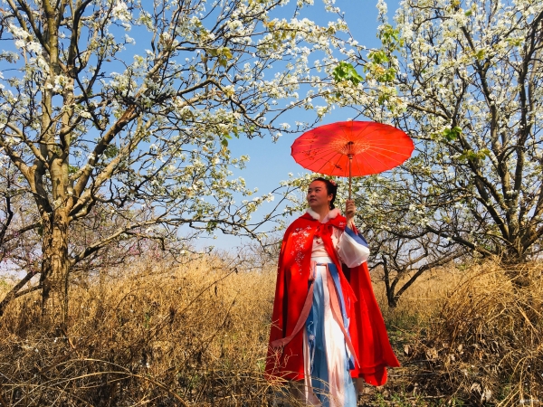 图5:梨园汉服展”活动展现中国传统文化 图5:梨园汉服展”活动展现中国传统文化