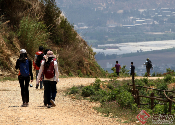 00300474299_08d8d20e