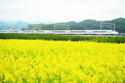 中国奇迹背后的“政治密码” 中国奇迹背后的“政治密码”