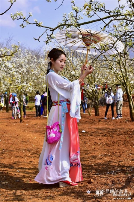 3、梨花仙子。彩龙社区网友@憶影拾光 摄。