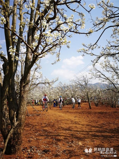 6、梨园下运动。彩龙社区网友@琪琪的妈妈 摄。