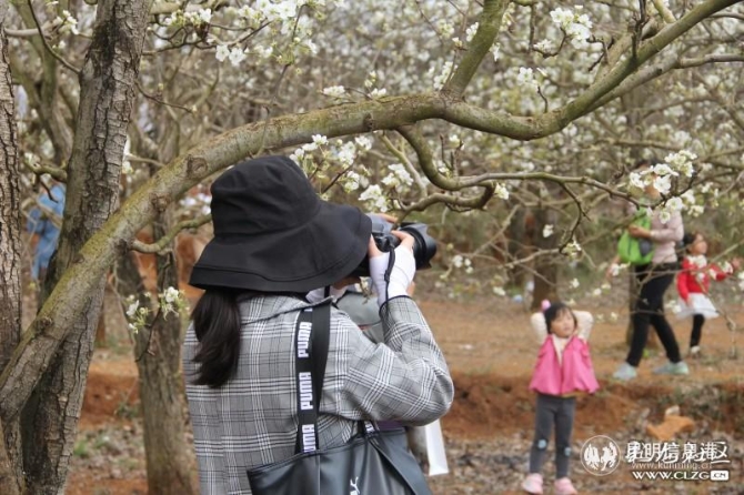 10、每年这个时候，呈贡万溪都能吸引许多摄影爱好者前来拍摄。彩龙社区网友@jiajiahua 摄。