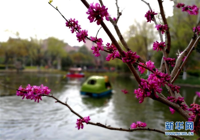 1124276452_15534724455901n 1124276452_15534724455901n