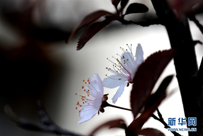 1124276452_15534724456171n 1124276452_15534724456171n