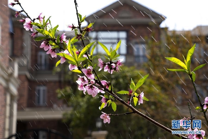 1124276452_15534724456641n 1124276452_15534724456641n