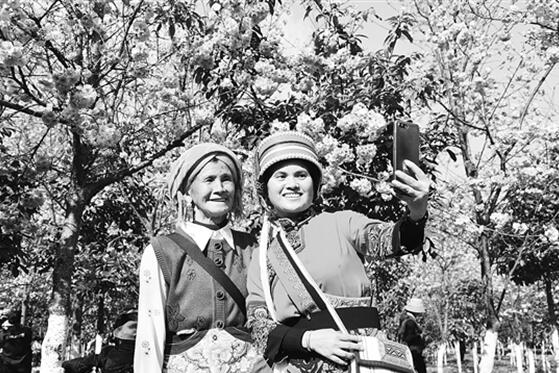 00300504633_620b3abd 00300504633_620b3abd