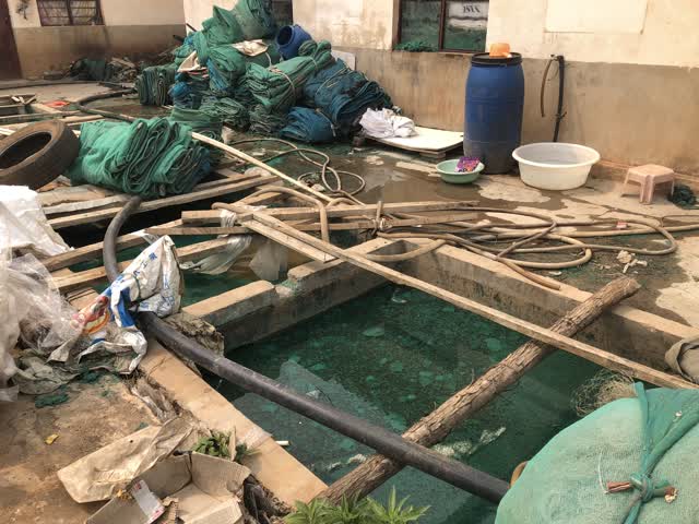 普吉街道“哨响”一声 辖区内12家违法排污作坊成功关停 (7)