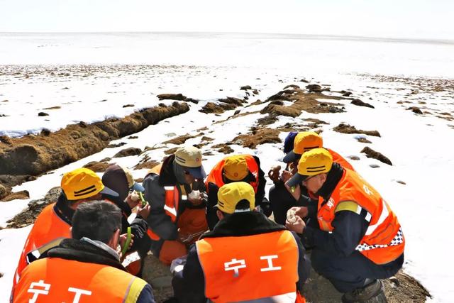 你在江南看花，我在“狼窝”斗雪