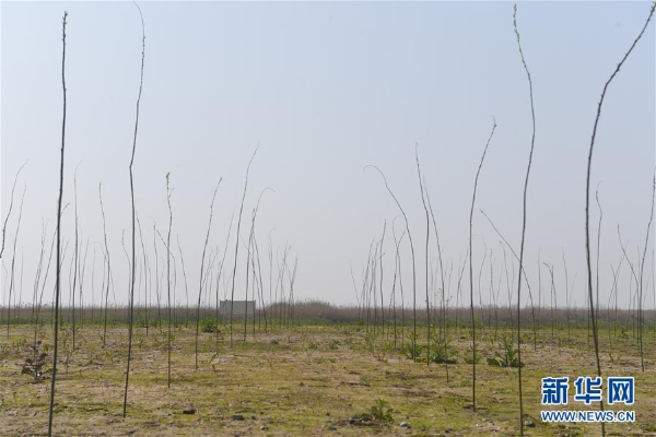 1124340727_15547286405331n