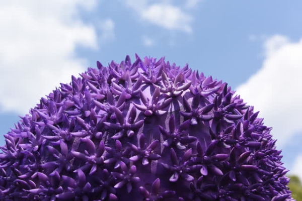 95ea659b-cf0c-4e9d-a0be-cb2e98122b12_w640 95ea659b-cf0c-4e9d-a0be-cb2e98122b12_w640