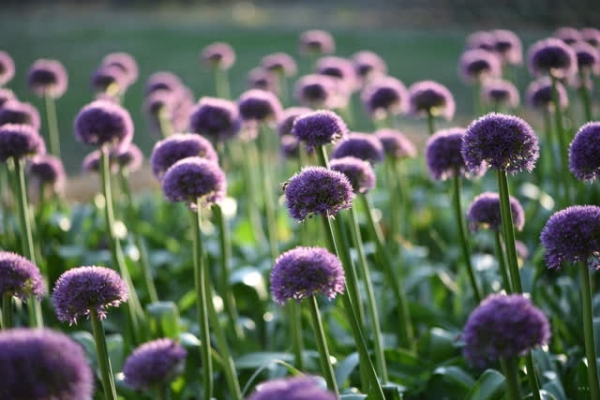 6b442bdf-ad00-48d4-9074-b6c1bcbafb7d_w640 6b442bdf-ad00-48d4-9074-b6c1bcbafb7d_w640