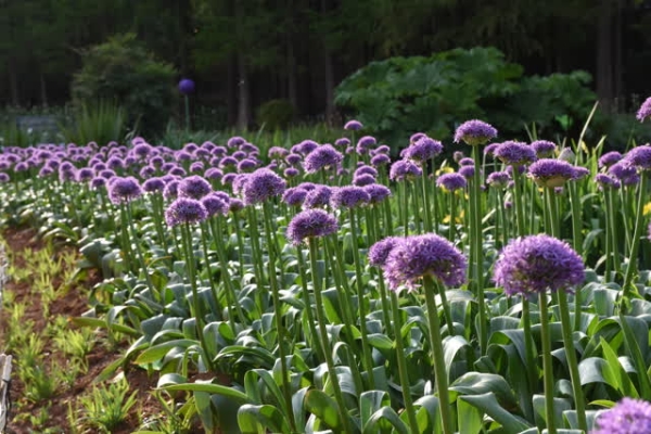 6826e2cd-472d-4b0a-ab6b-4b6c4c43e874_w640 6826e2cd-472d-4b0a-ab6b-4b6c4c43e874_w640