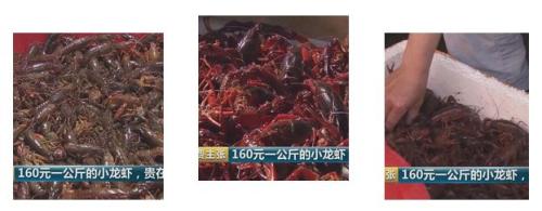 全民出动,远赴云南抢小龙虾!160元一公斤都挤破头,究竟为虾米?