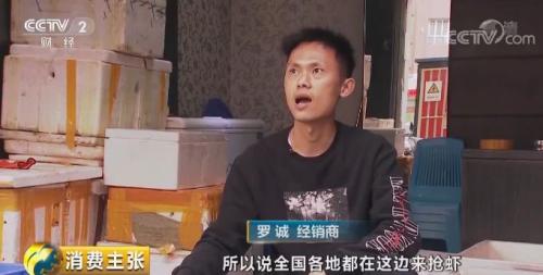 全民出动,远赴云南抢小龙虾!160元一公斤都挤破头,究竟为虾米?