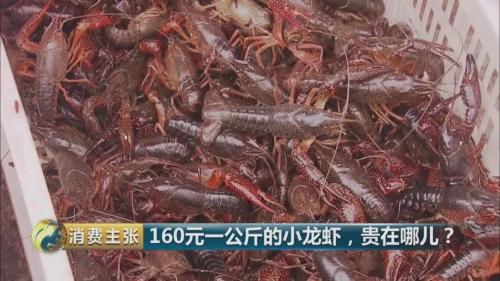 全民出动,远赴云南抢小龙虾!160元一公斤都挤破头,究竟为虾米?