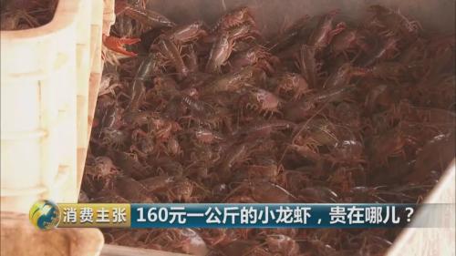 全民出动,远赴云南抢小龙虾!160元一公斤都挤破头,究竟为虾米?