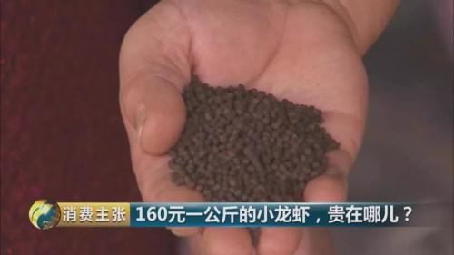 全民出动,远赴云南抢小龙虾!160元一公斤都挤破头,究竟为虾米?