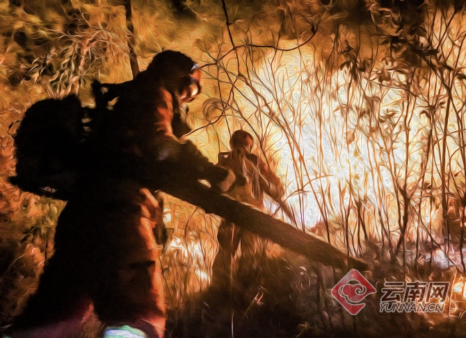 昼夜灭火的森林消防队员 满东飞 王刘金 刘勃飞 摄1 昼夜灭火的森林消防队员 满东飞 王刘金 刘勃飞 摄1