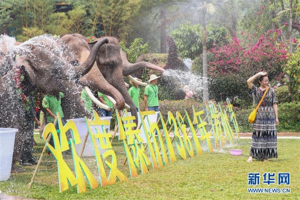 1124367424_15552943174561n 1124367424_15552943174561n