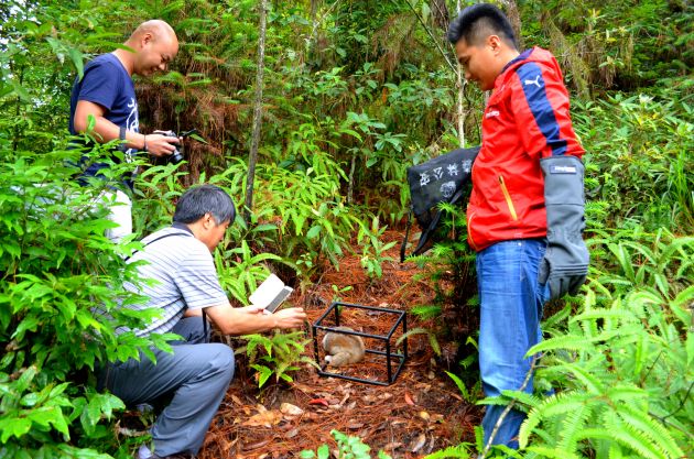 放生野生猴类20160725044503379 - 副本