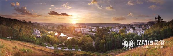 mmexport1555501289336