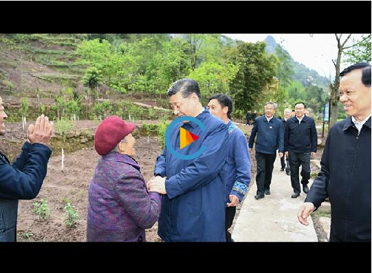 QQ截图20190418091048 QQ截图20190418091048