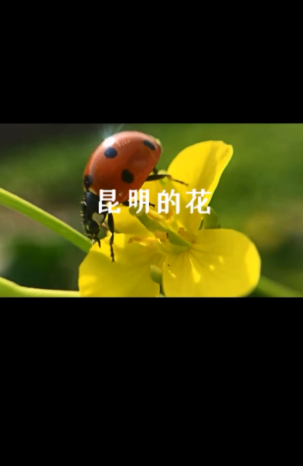 点击查看视频 点击查看视频