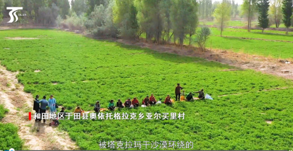 QQ截图20190422124409