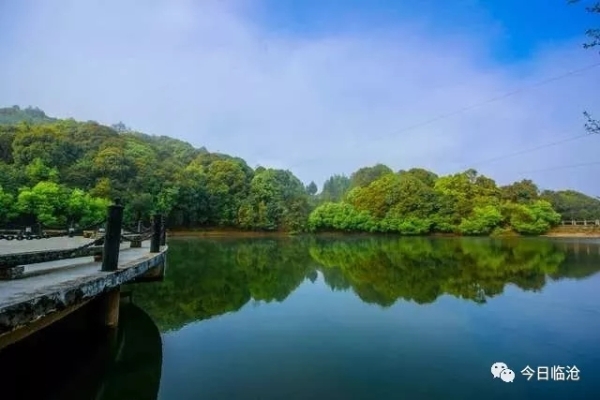 640.webp (6) 640.webp (6)