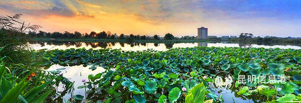 嵩明嘉丽泽 嵩明嘉丽泽