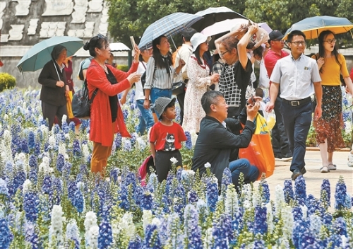 2019050401_res07_attpic_brief 2019050401_res07_attpic_brief