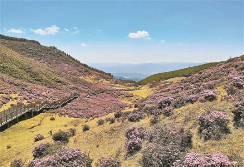 2019050401_res11_attpic_brief 2019050401_res11_attpic_brief