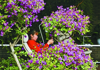 在鸟语花香里诗意栖居——从北京世园会看园艺业发展 在鸟语花香里诗意栖居——从北京世园会看园艺业发展