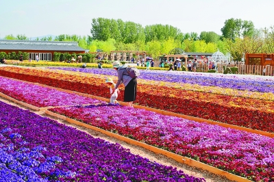 在鸟语花香里诗意栖居——从北京世园会看园艺业发展 在鸟语花香里诗意栖居——从北京世园会看园艺业发展