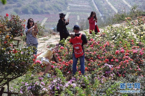 1124448020_15569373236001n