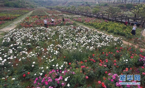 1124448020_15569373234821n